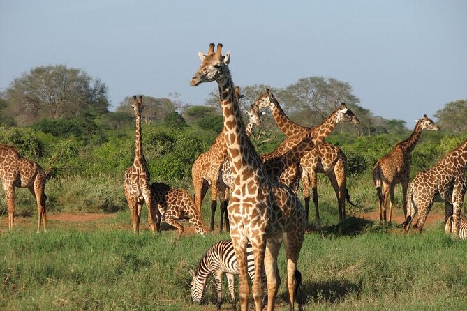 2 Days Taita Hills Conservancy Tour - Price Details