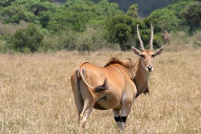 2 Days Tour -Hiking and Walking in Mt.Longonot - How to Prepare