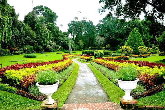 2 Days Tour to Kandy Nuwara Eliya & Horton Plains From Negombo - Important Information for Participants