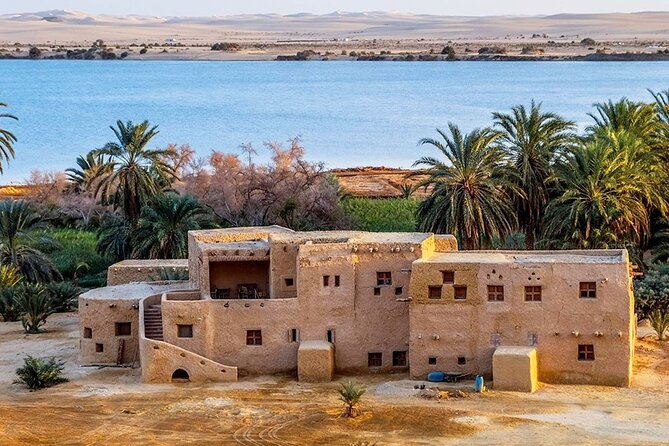 2 Days White Desert Tour From Cairo - Day 2: Return to Cairo