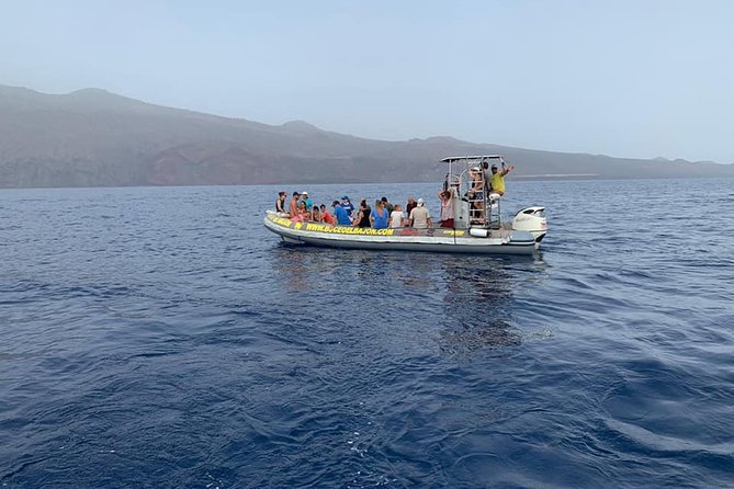 2-Hour Boat Trip With Snorkelling From La Restinga, El Hierro - Boat Trip Highlights