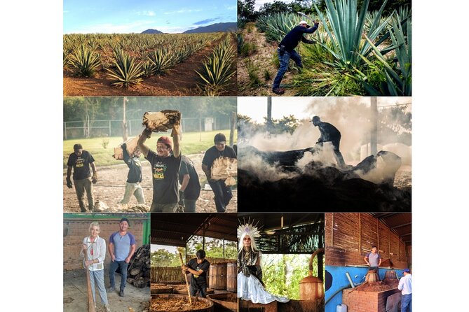 2-Hour Private Mezcal and Geisha Liqueur Tasting Experience - Frequently Asked Questions