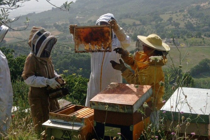 2 Hours Beekeeping and Honey Tasting Activities in Assisi - Activity Schedule and Timing