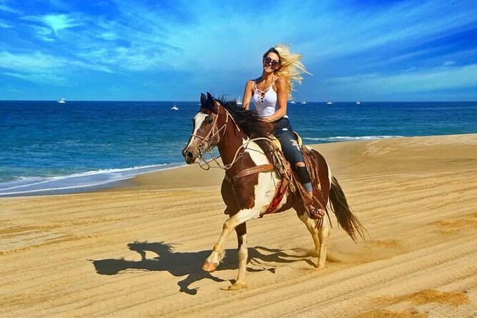 2 Hours Horse Riding With Transfer From Hurghada - Hotel Pickup and Drop Off