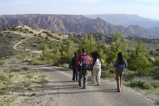 2-Night Private Tour: Madaba,Mount Nebo,Dana Biosphere,Petra,Wadi Rum & Dead Sea - Accessibility Features