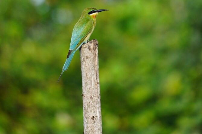 2h Private Bentota River Safari Tour With Pickup - Pickup Points