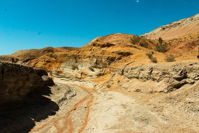 3-Day Altyn Emel Park + Kaindy Lake + Charyn Canyon Jeep-Tour - The Sum Up