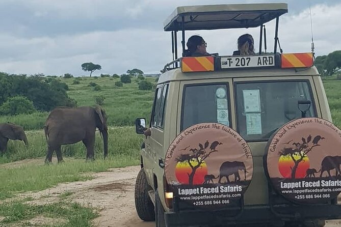 3-Day Camping Tour for Tarangire, Manyara & Ngorongoro From Arusha - Tour Logistics