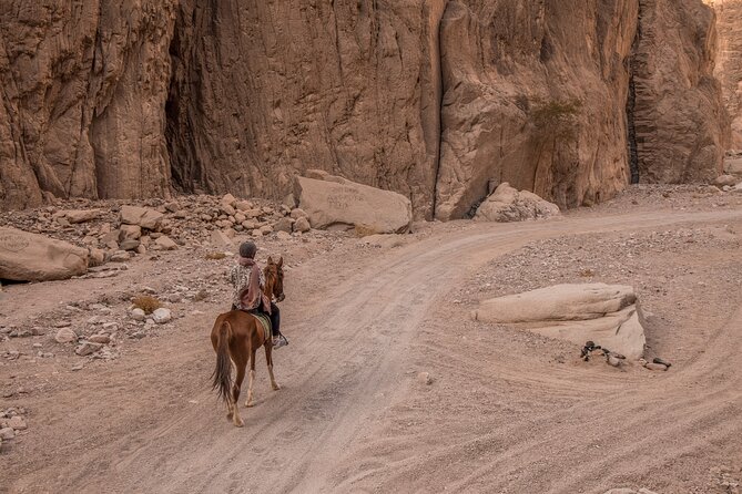 3-Day Horseback Riding Expedition in the Sinai Desert - Booking and Cancellation Policy