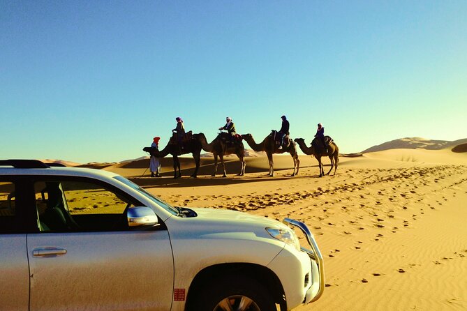 3-Day Marrakech to Fez Journey via Merzouga - Discover the Magic! - Day 3: Todra Gorge to Fez