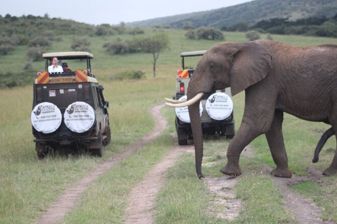 3-Day Masai Mara Migration Small Group Guided Safari From Nairobi - Departure and Return Information