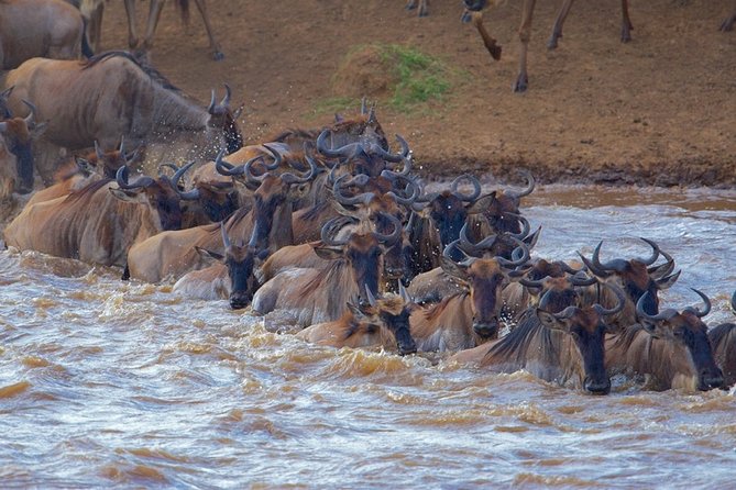 3-Day Masai Mara Private Flying Safari With 4x4 Game Drives - Pickup and Dropoff