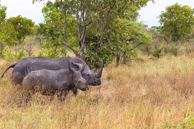 3-Day Meru National Park Private Guided Safari Tour