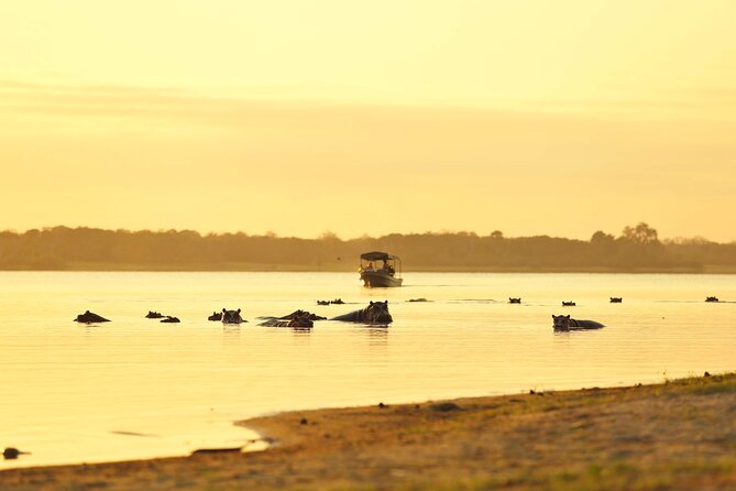 3 Day Nyerere NP Safari Adventure From Zanzibar to Selous - Safari Activities and Highlights