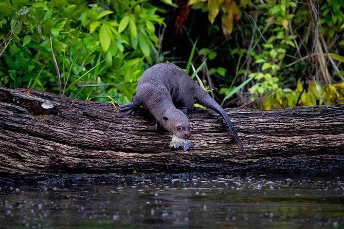 3 Day - Posada Amazonas Classic Program Group Tour - Price Details