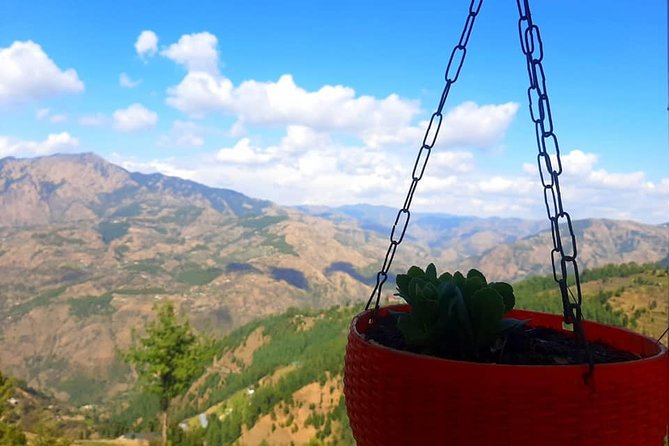 3-Day Private Mountain Bike Camp in Shimla - Price and Booking