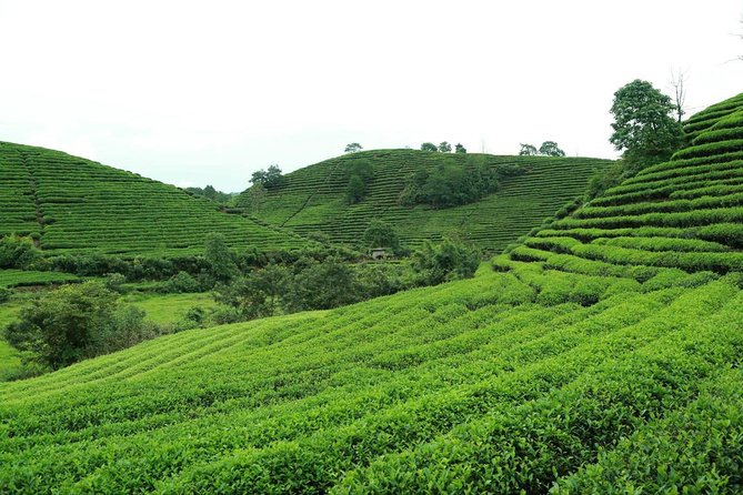 3-Day Private Tour to the Worlds Natural and Cultural Heritage Mount Wuyi - Meeting and Pickup Details