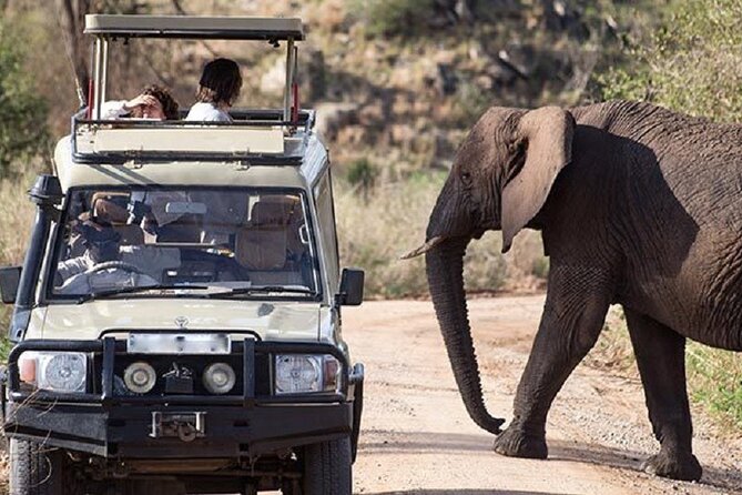 3-Day Safari in Queen Elizabeth National Park Uganda From Kampala - Inclusions and Exclusions