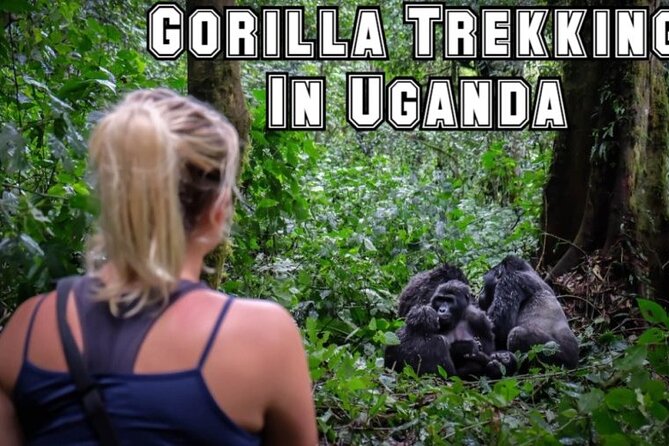 3 Day Safari-Ngamba Island and Kampala City Tour - Additional Information