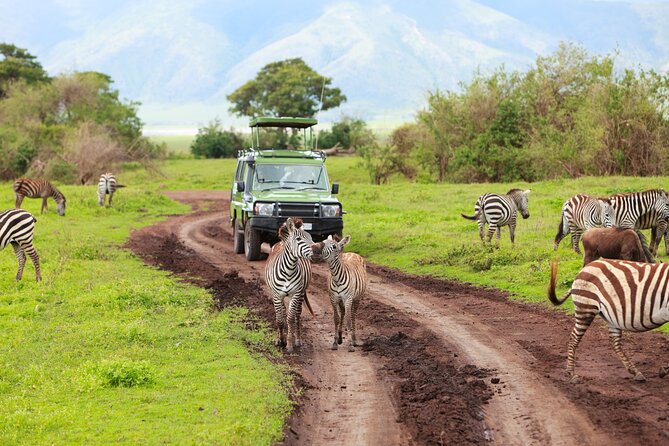 3-Day Safari to Serengeti, Ngorongoro and 1-Day Kilimanjaro Hike - Inclusions and Exclusions