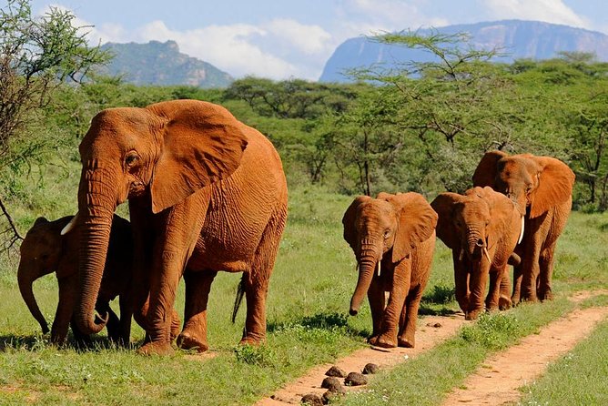 3 Day Tsavo East & Tsavo West Wildlife Safari From Mombasa - Pickup and Accessibility