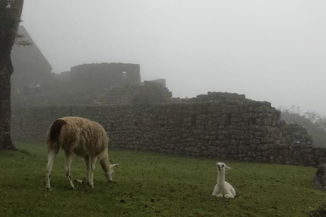 3 Day View - Cusco and Machu Picchu - Pickup Locations