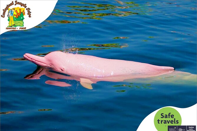 3 Day Wildlife and Camping to Pacaya Samiria National Reseve - Transportation