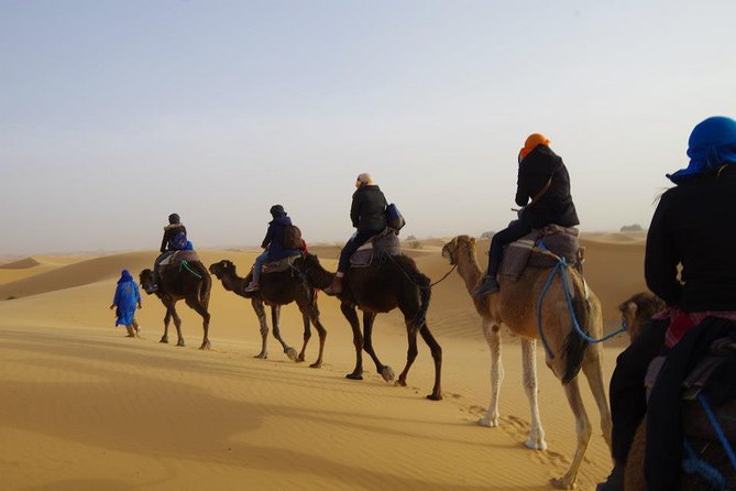 3 DAYS & 2 NIGHTS From Marrakech, Atlas Mountains to the BIG SAHARA Desert - Booking and Cancellation Policy