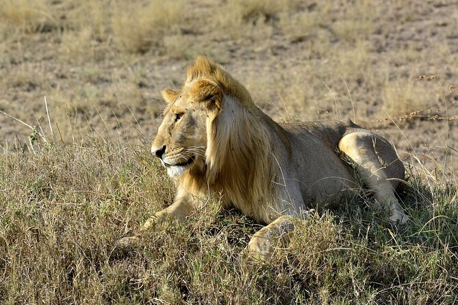 3 Days 2 Nights Safari to Amboseli From Nairobi - Additional Safari Information