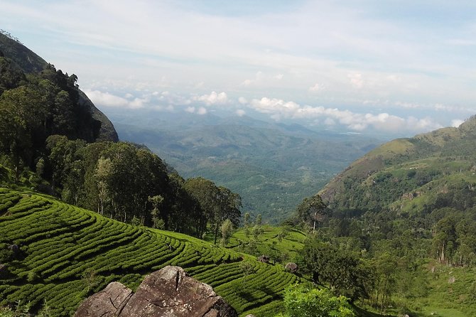 3 Days, 2 Nights Tour - Accommodation Details