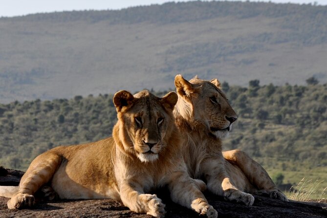 3 Days Amboseli and Tsavo West National Park Safari From Nairobi - Pricing and Group Size
