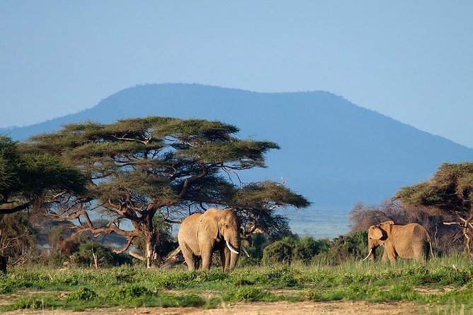 3 Days Amboseli Safari - Safety and Accessibility
