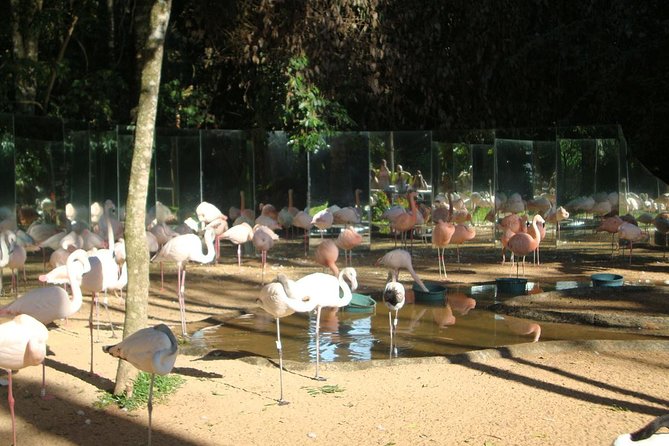3 Days and 2 Nights 4 Stars Hotel Iguassu Falls - Private Tours - Frequently Asked Questions