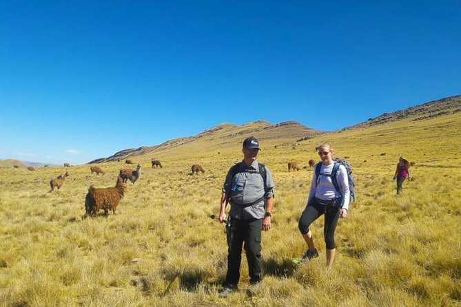 3 Days Best - Huchuy Qosqo Trek To Machupicchu - Private Tour. - Health and Safety Provisions