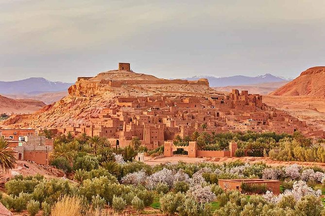 3 Days Desert Tour and Horseback Riding - Booking Confirmation