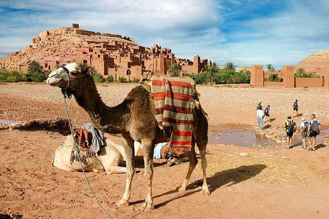 3 Days Desert Trip From Marrakech to Fes via Desert in Merzouga - Cancellation Policy