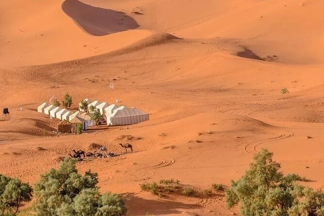 3 Days Desert Trips : Agadir to Merzouga to Marrakesh - Confirmation and Accessibility