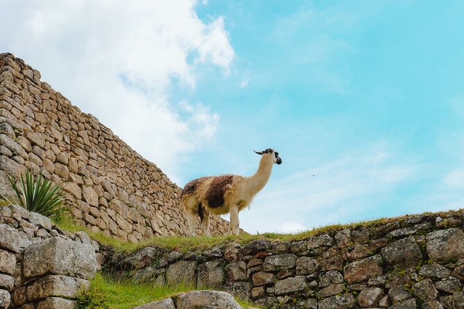 3 Days Excursion City Tour and the Magical Machu Picchu - The Sum Up