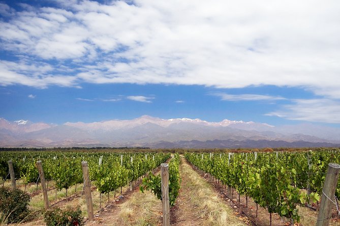 3-Days Getaway for Wine Lovers - Mendoza Experience! - Tips for Enjoying Mendoza
