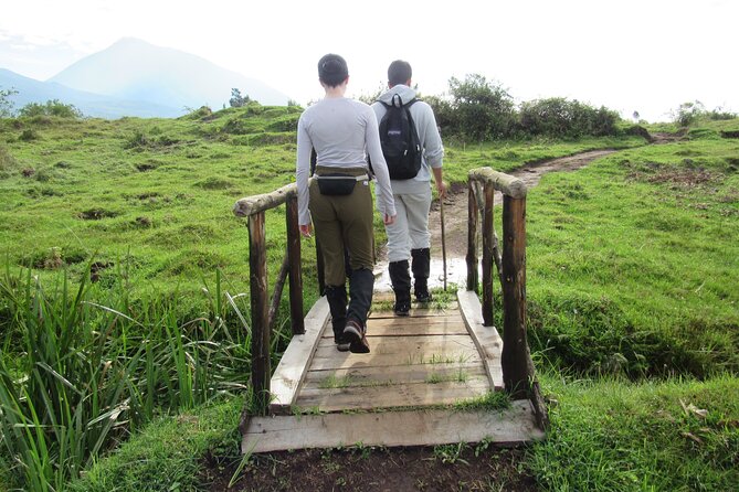3 Days Golden Monkey Private Trekking in Rwanda - Health and Fitness Requirements