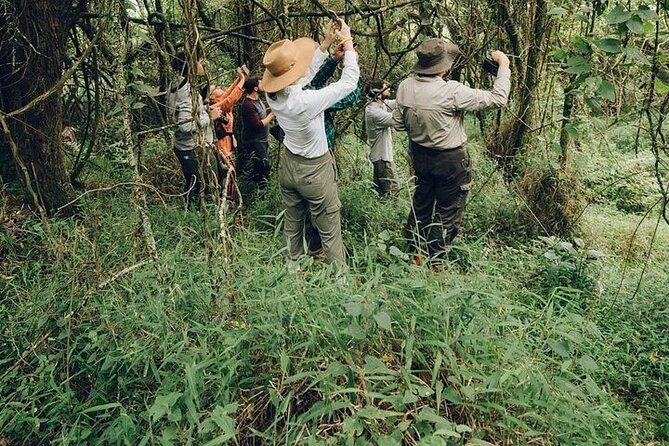 3 Days Gorilla Trekking Bwindi and Lake Bunyonyi Safari - The Sum Up
