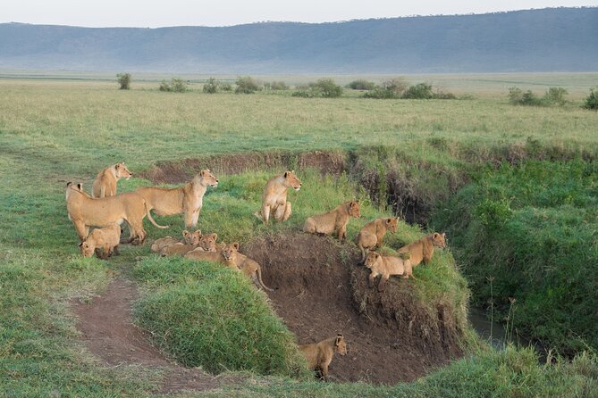 3 Days Group Safari Serengeti & Ngorongoro - Booking and Cancellation Policy