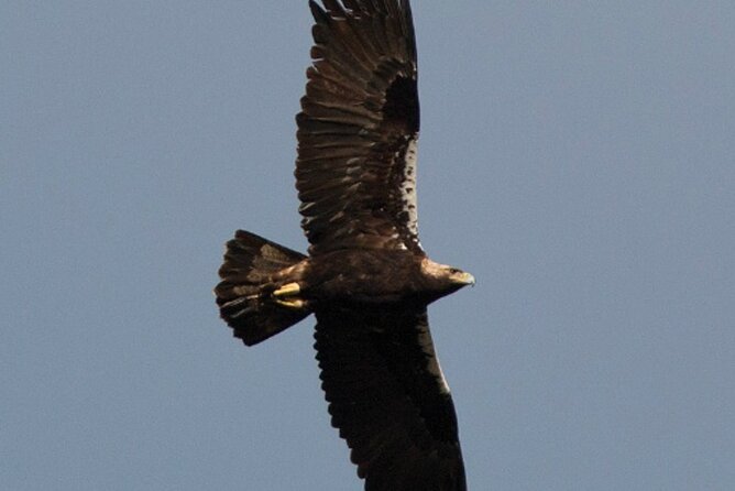 3-Days in Private Tour Knowing The Kingdom of the Vulture - Day 3 Itinerary