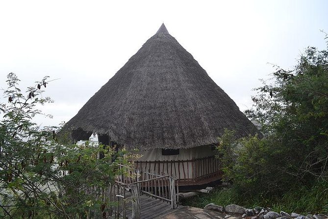 3 Days Lion Bluff Lumo Sanctuary (Minimum 2 Pax) - Frequently Asked Questions