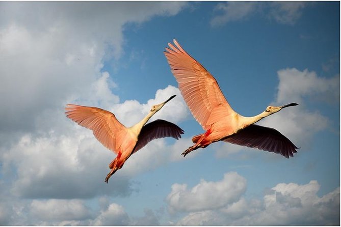 3 Days Ngorongoro-Lake Manyara - Traveler Restrictions