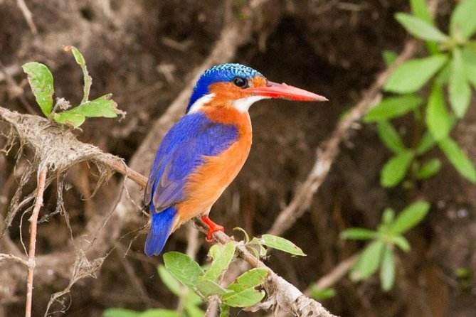 3 Days Nyerere National Park Private Safari