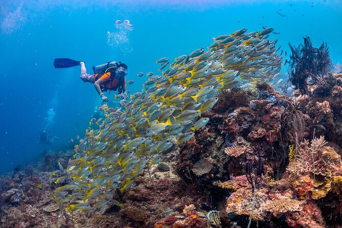 (3 Days) PADI Open Water Diver Course Kota Kinabalu - Additional Information