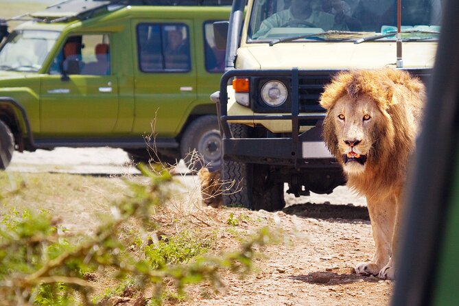 3 Days-Serengeti National Park Iconic Safari - Transportation Information