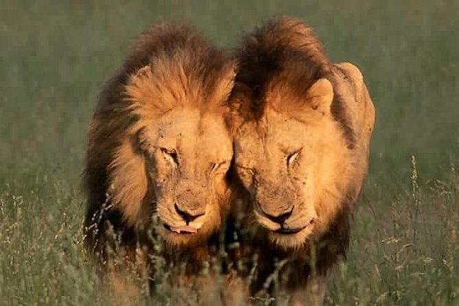 3 Days Serengeti Ngorongoro Crater - Frequently Asked Questions