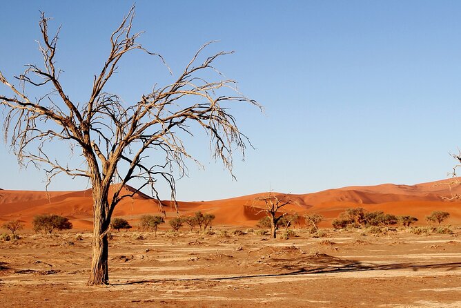 3 Days Sossusvlei Safari (Lodging) Namibia - Pickup and Meeting Instructions